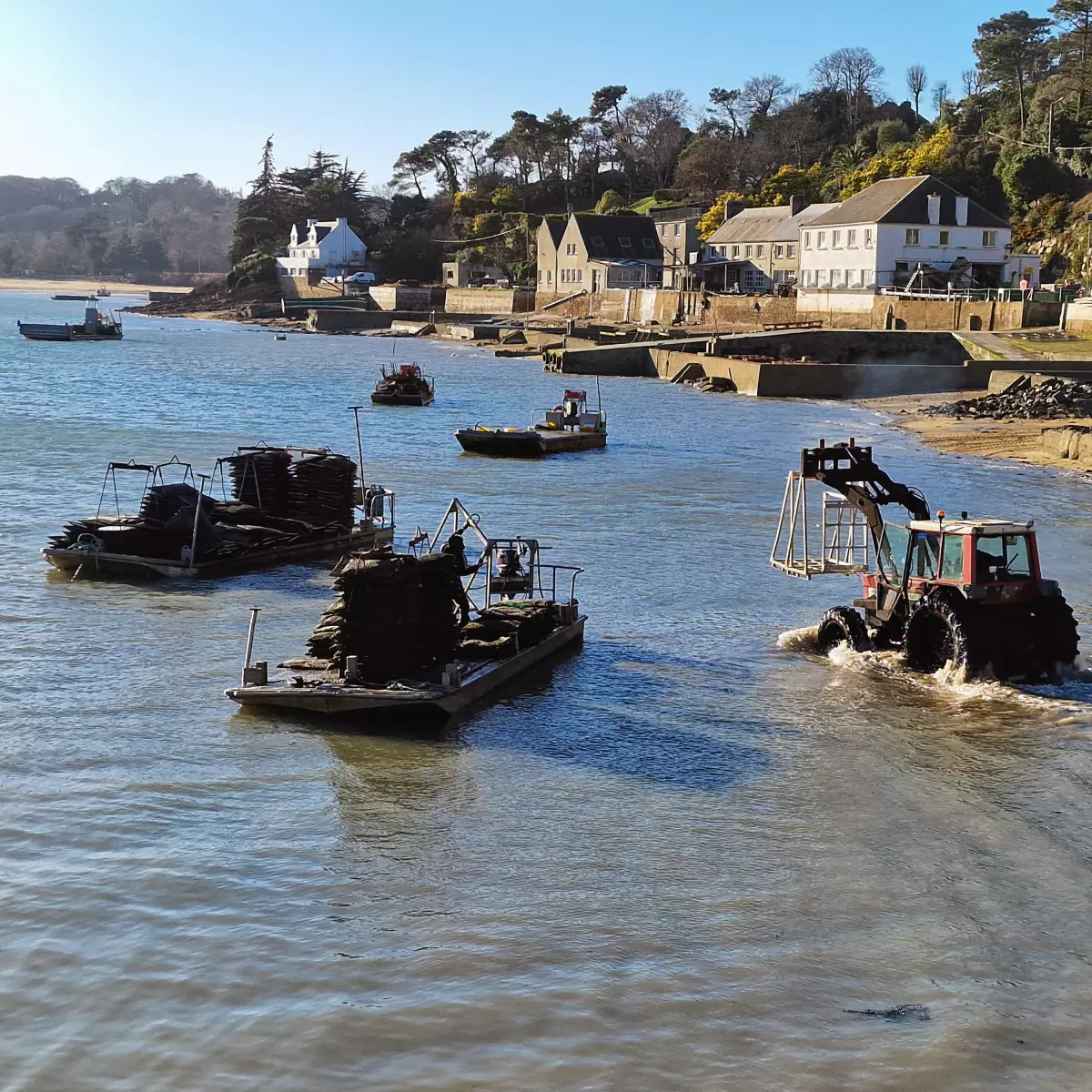 Débarquement de poches en Baie de Morlaix